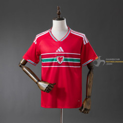 Camiseta Fútbol Gales...
