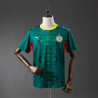 Camiseta Fútbol Senegal Segunda Equipación 2026