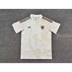 Camiseta Fútbol Gales...