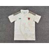 Camiseta Fútbol Gales Segunda Equipación 2026