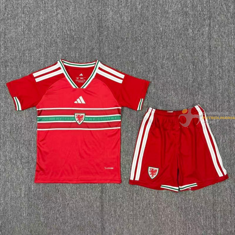 Camiseta y Pantalón Niños Gales Primera Equipación 2026