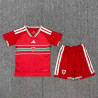 Camiseta y Pantalón Niños Gales Primera Equipación 2026