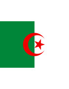Camsietas Fútbol Baratas Selección Argelia Jersey Football Algeria