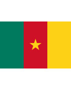 Camiseta de Fútbol Selección Camerún